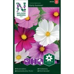 Stolt Kavaler 'Early Summer' Mix Cosmos Bipinnatus 'Early Summer'