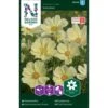 Stolt Kavaler 'Xanthos' Cosmos Bipinnatus 'Xanthos' -Osmo Salgsbutik p33989 37326 cosmos bipinnatus xanthos d04b