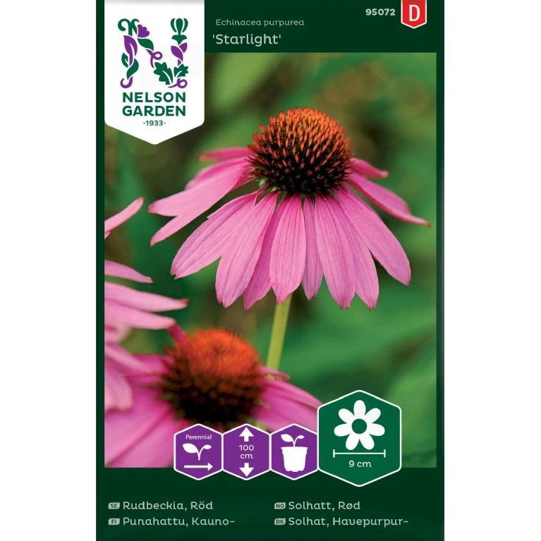 Purpursolhat 'Starlight' Echinacea Purpurea 'Starlight' 3 Purpursolhat 'Starlight' Echinacea Purpurea 'Starlight'