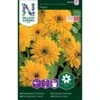 Håret Solhat 'Maya' Rudbeckia Hirta Var. Pulcherrima 'Maya'