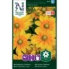 Håret Solhat 'Praire Sun' Rudbeckia Hirta Var. Pulcherrima 'Prairie Sun' -Osmo Salgsbutik p33995 37331 rudbeckia hirta var pulcherrima prairie sun bfb2