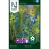 Salvie 'Blue Angel' Salvia Patens 'Blue Angel' 2 Salvie 'Blue Angel' Salvia Patens 'Blue Angel' -Osmo Salgsbutik p33998 37334 salvia patens blue angel 8d4c