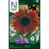 Solsikke 'Ruby' F1 Helianthus Annuus 'Ruby' F1 2 Solsikke 'Ruby' F1 Helianthus Annuus 'Ruby' F1 -Osmo Salgsbutik p34010 37342 helianthus annuus ruby f1 66fb
