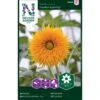 Solsikke 'Double Sunking' Helianthus Annuus 'Double Sunking' 2 Solsikke 'Double Sunking' Helianthus Annuus 'Double Sunking' -Osmo Salgsbutik p34012 37344 helianthus annuus double sunking 72d6