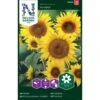 Lav Solsikke 'Sunspot' Helianthus Annuus 'Sunspot' -Osmo Salgsbutik p34013 37345 helianthus annuus sunspot e5a3