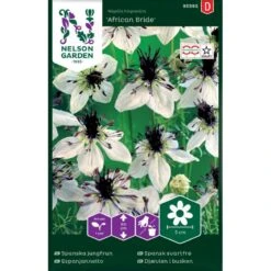 Jomfru I Det Grønne 'African Bride' Nigella Hispanica 'African Bride'