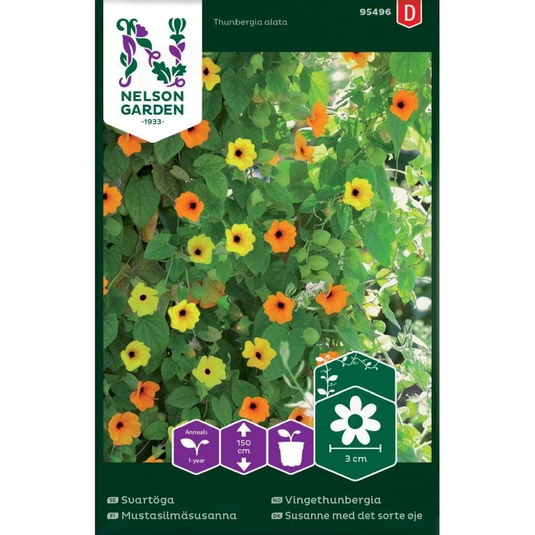 Susanne Med Det Sorte øje Mix Thunbergia Alata 3 Susanne Med Det Sorte øje Mix Thunbergia Alata