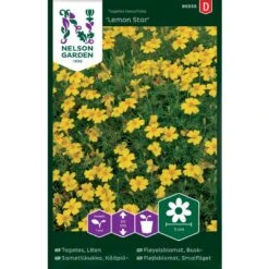 Fløjlsblomst 'Lemon Star' Tagetes Tenuifolia 'Lemon Star'
