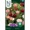 Tusindfryd 'Pomponette' Bellis Perennis L. 'Pomponette' -Osmo Salgsbutik p34044 37371 bellis perennis l pomponette a375