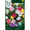 Vidunderblomst Mix Mirabilis Jalapa L. -Osmo Salgsbutik p34046 37373 mirabilis jalapa l 73d3