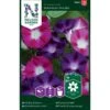 Purpurpragtsnerle 'Bohemian Shades' Ipomoea Purpurea 'Bohemian Shades' -Osmo Salgsbutik p34058 37381 ipomoea purpurea bohemian shades 95d5