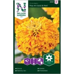 Frøkenhat, Pop Art Gold & Red Zinnia Elegans 'Pop Art Gold & Red'