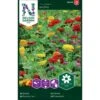 Frøkenhat 'Graffiti' Zinnia Elegans 'Graffiti' 1 Frøkenhat 'Graffiti' Zinnia Elegans 'Graffiti' -Osmo Salgsbutik p34065 37387 zinnia elegans graffiti 644a