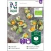 Ananaskirsebær Øko Physalis Grisea Frøpose, Antal Pr. Pakke, Ca. 4 Stk. -Osmo Salgsbutik p34145 22164 jordbaertomat af1e
