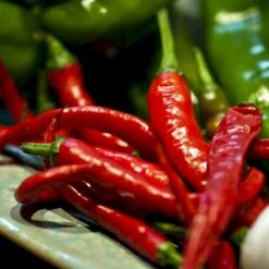 Chilipeber 'Westlandse Lange Rode' Øko Capsicum Annuum 'Westlandse Lange Rode' Frøpose, Antal Pr. Pakke, Ca. 3 Stk. -Osmo Salgsbutik p34592 54556 capsicum annuum westlandse lange rode 8d69