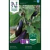 Aubergine 'Teresa' F1 Solanum Melongena 'Teresa' F1 -Osmo Salgsbutik p34596 30139 solanum melongena 07db