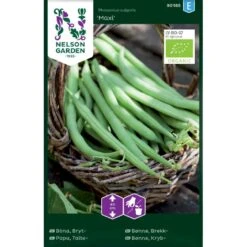 Krybbønne 'Maxi' Øko Phaseolus Vulgaris 'Maxi'