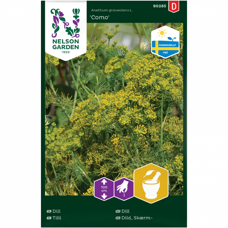Skærmdild 'Como' Original Svensk Anethum Graveolens L. 'Como' 3 Skærmdild 'Como' Original Svensk Anethum Graveolens L. 'Como'