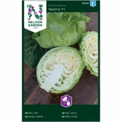 Hvidkål 'Beatrix' F1 Brassica Oleracea 'Beatrix' F1