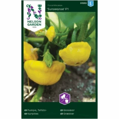 Græskar 'Sunseanse' F1 Cucurbita Pepo 'Sunseanse' F1