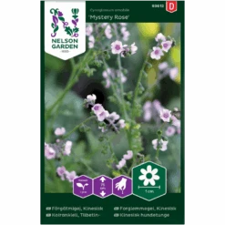 Kinesisk Hundetunge 'Mystery Rose' Cynoglossum Amabile 'Mystery Rose'