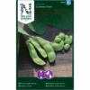 Edamamebønne 'Summer Shell' Glycine Max 'Summer Shell' -Osmo Salgsbutik p34783 34764 glycine max summer shell be8f