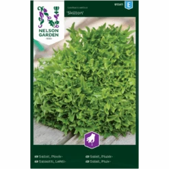 Pluksalat 'Skilton' Lactuca Sativa 'Skilton'