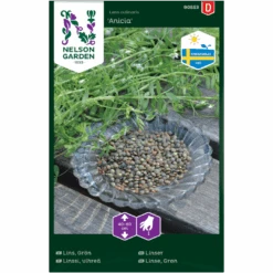 Grønlinse 'Anicia' Lens Culinaris 'Anicia'