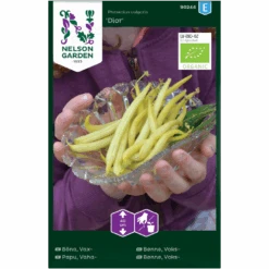 Voksbønne 'Dior' Øko Phaseolus Vulgaris 'Dior'