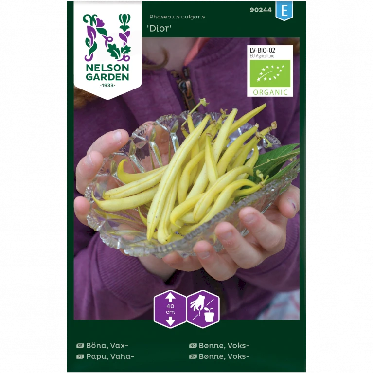 Voksbønne 'Dior' Øko Phaseolus Vulgaris 'Dior' 3 Voksbønne 'Dior' Øko Phaseolus Vulgaris 'Dior'