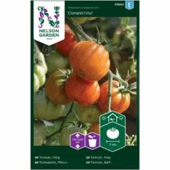 Bøftomat 'Canestrino' Solanum Lycopersicum 'Canestrino'