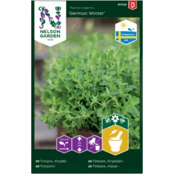 Timian 'German Winter' Thymus Vulgaris L. 'German Winter'
