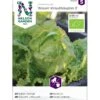 Icebergsalat 'Grazer Krauthäuptel 2' Øko Lactuca Sativa 'Grazer Krauthäuptel 2' Frøpose, Antal Pr. Pakke, Ca. 30 Stk. -Osmo Salgsbutik p35451 37980 lactuca sativa grazer krauthaeuptel 2 1c11