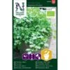 Bredbladet Persille 'Gigante D'Italia' Øko Petroselinum Crispum 'Gigante D'Italia' -Osmo Salgsbutik p36923 43145 image dd74
