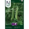 Slikært 'Nairobi' Pisum Sativum 'Nairobi' -Osmo Salgsbutik p36930 43159 image 4e42